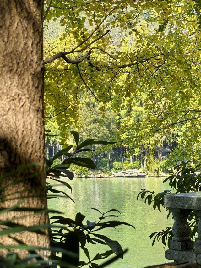 你不知道桂林秋天有多美 你不知道桂林秋天有多美