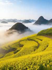 油菜花海拍照指南