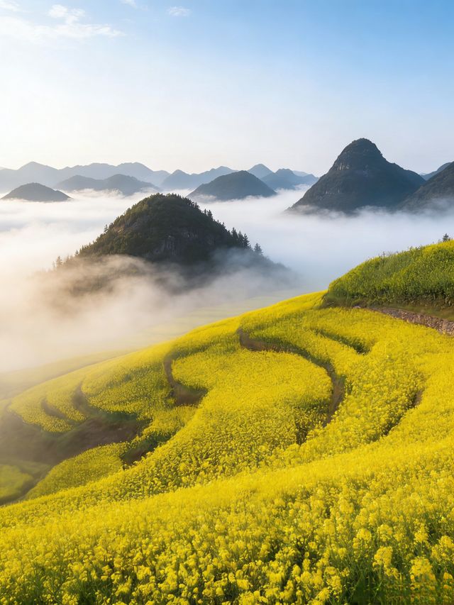 油菜花海拍照指南 油菜花海拍照指南