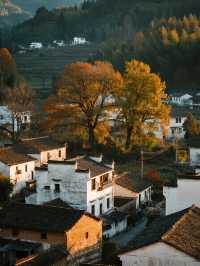 塔川秋季親子遊|紅葉古村+周邊打卡全攻略