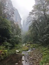 從張家界回來!美到失語!!!