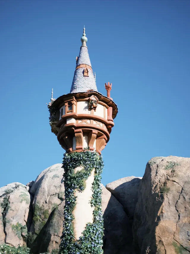 東迪海洋｜難忘！好玩！一日記錄