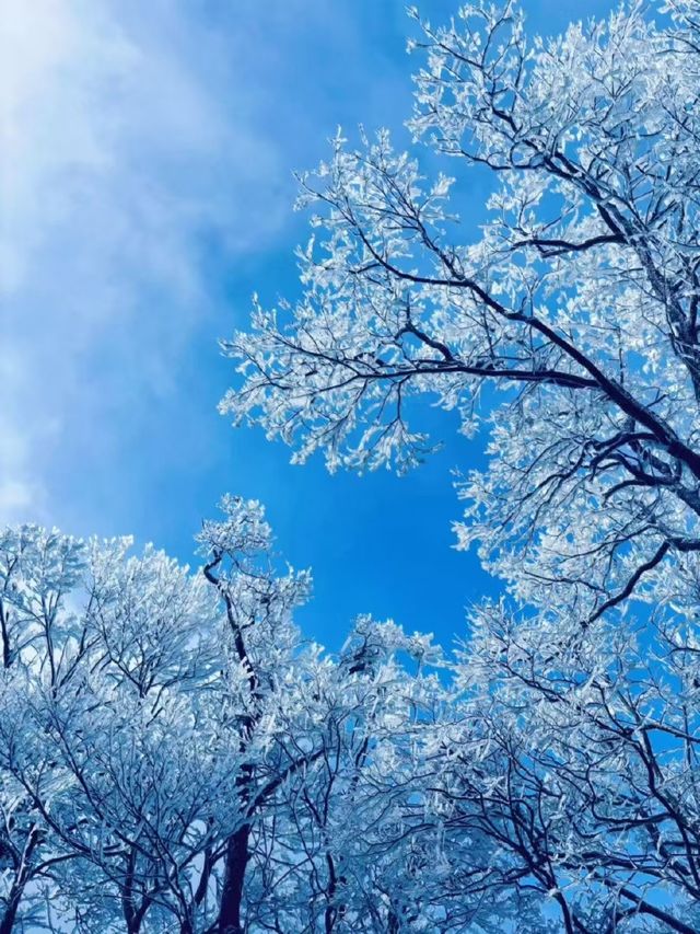 冰雪奇緣龍王山徒步踏, 雪賞霧淞 冰雪奇緣龍王山徒步踏, 雪賞霧淞