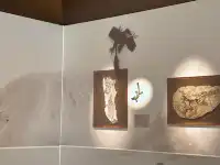 恐龍展抽獎只剩最後1天,衝啊!