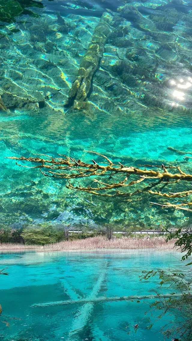 不上班後 人生都明媚了