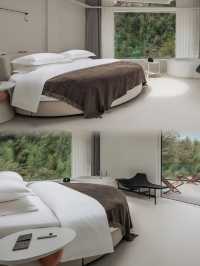 2025安吉設計師民宿天花板!獨棟溯溪、萬畝森林