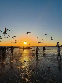 日落，是天空寫給秦皇島的溫柔啊