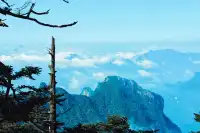 神農谷底實拍‖走進仙境裡了