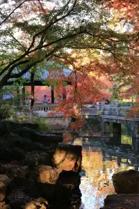 12.3|虞山紅楓進度99% (附路線圖