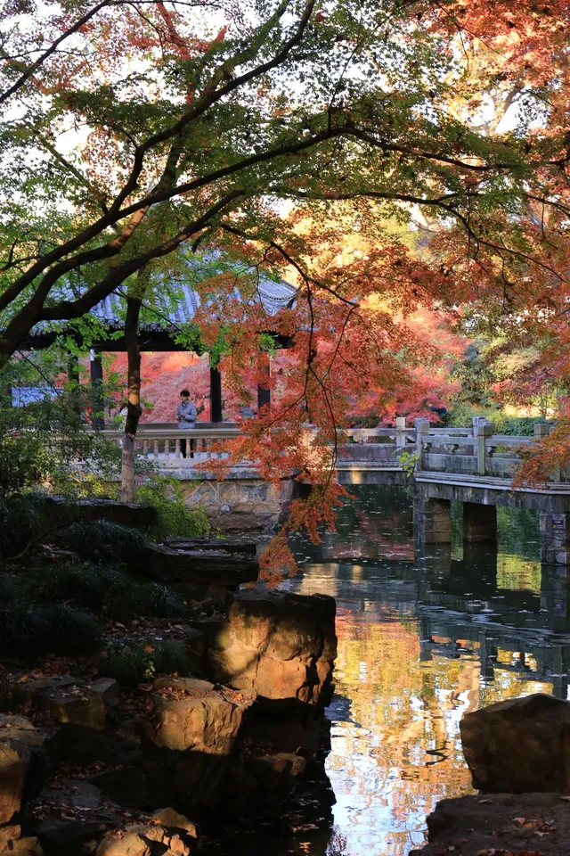 12.3|虞山紅楓進度99% (附路線圖 12.3|虞山紅楓進度99% (附路線圖