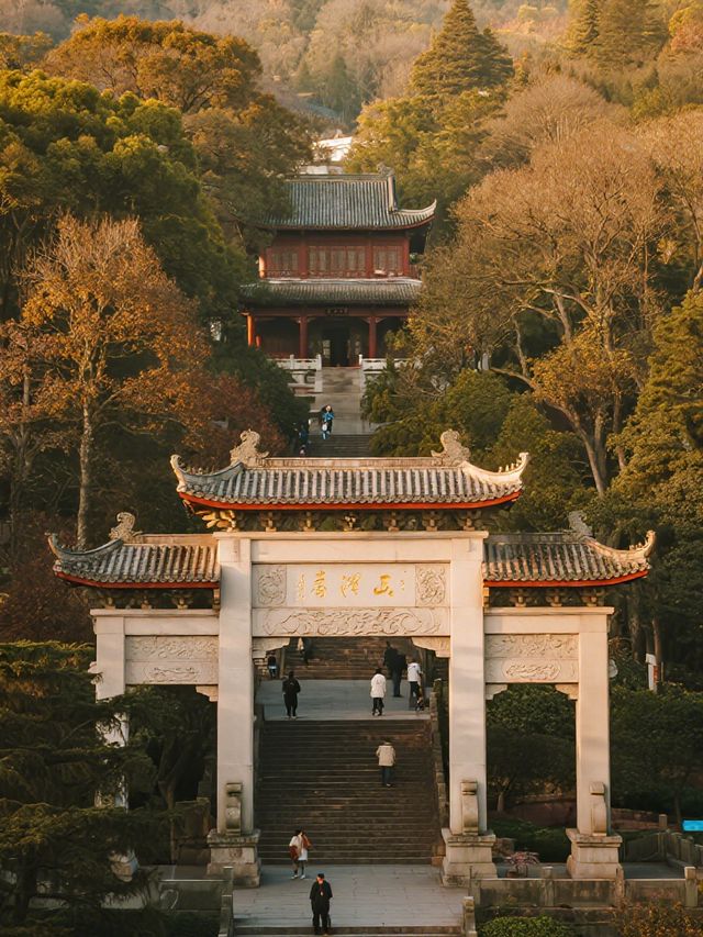 嶽麓山親子楓景線!帶娃沉浸式感受秋日詩意 嶽麓山親子楓景線!帶娃沉浸式感受秋日詩意