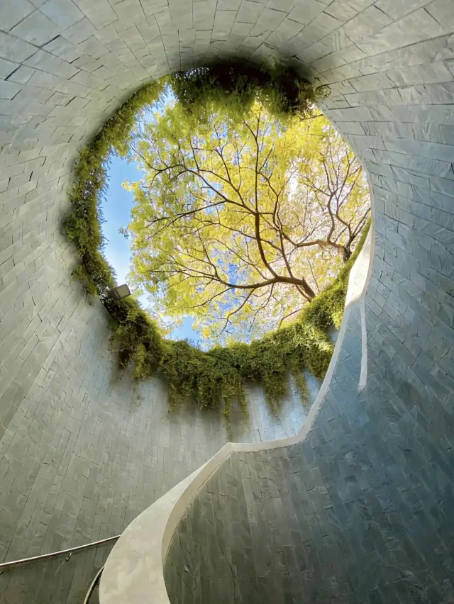 新加坡漂亮的地方都是免米的！！