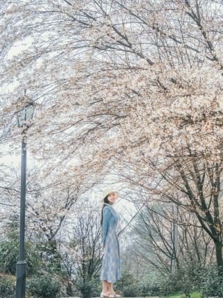 雲亀山の桜はどうやって撮る？現地の小道具を上手に使おう