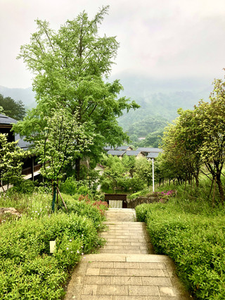 隨州大洪山