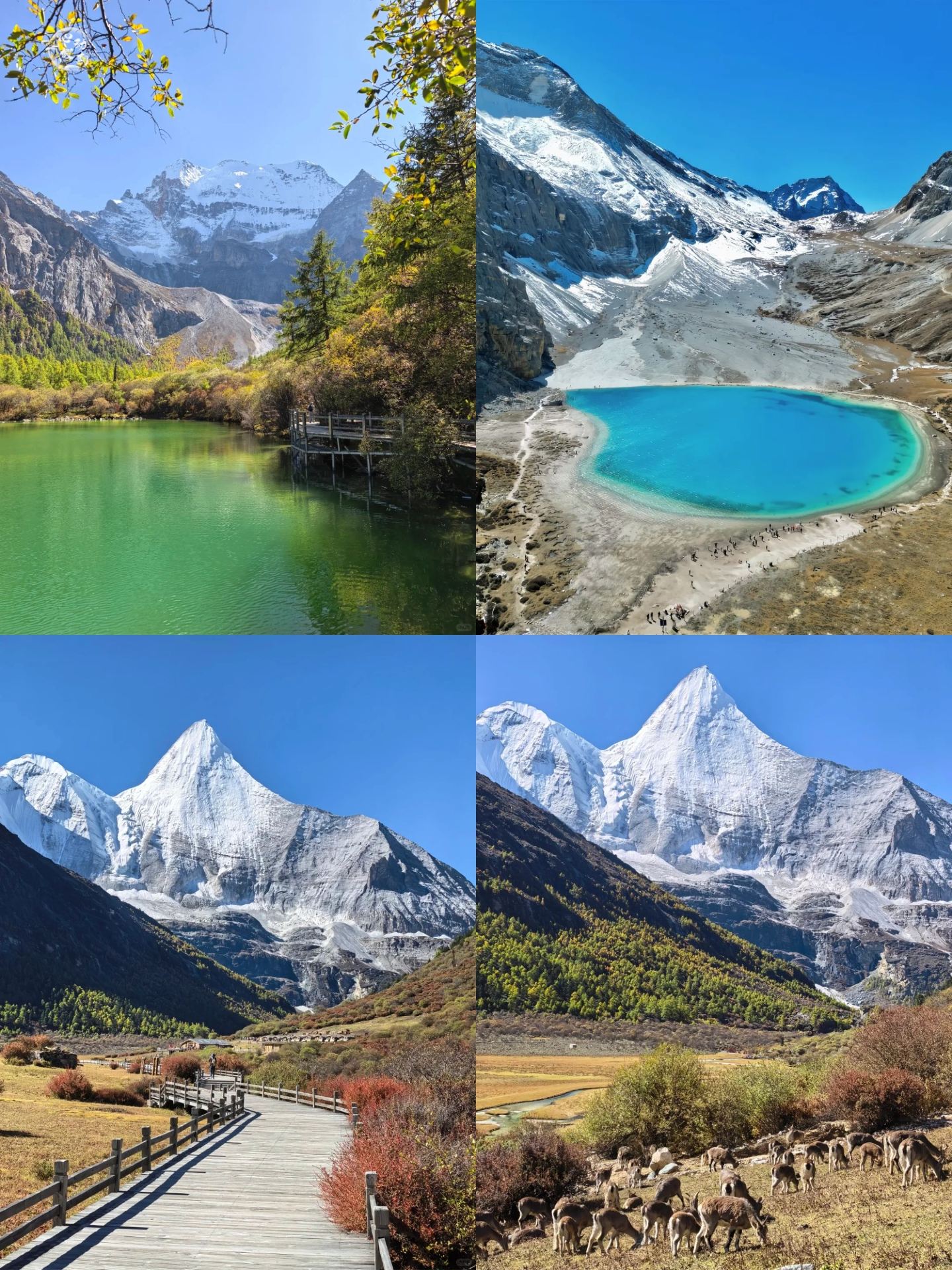 Western Sichuan Loop | Explore Daocheng + Mount Siguniang + Seda in One Trip