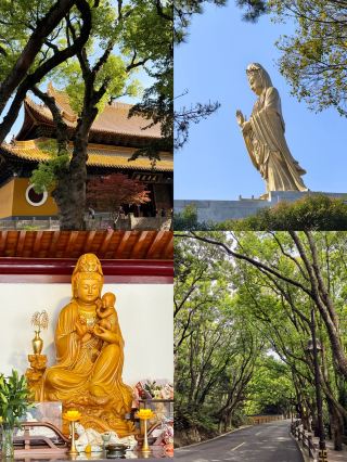 普陀山2日間の静かな心旅｜実用攻略＋宿泊おすすめ