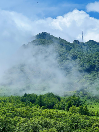 「上帝的花園」—百花山國家級自然保護區