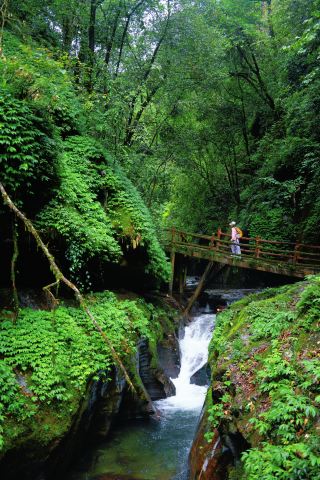 Tongren Travel Guide | Guizhou's Seriously Underrated Summer Escape!!