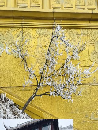 元旦後の分散登山で峨眉山を楽しもう！雪景色を独り占めする喜び