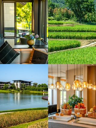 Guide to relaxing at an autumn rice paddy homestay