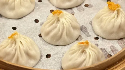 Bay Area's Bao Daren 🥢 A bit disappointed with the soup dumplings and pan-fried buns 🥟 — traveler post in Mountain View