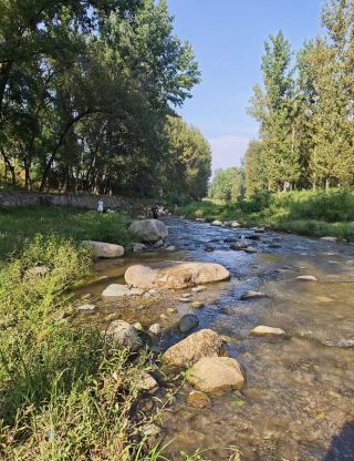 Stream Trekking at Jinshan Temple in Luoning: A Cool Hidden Gem in the Jinmen Valley