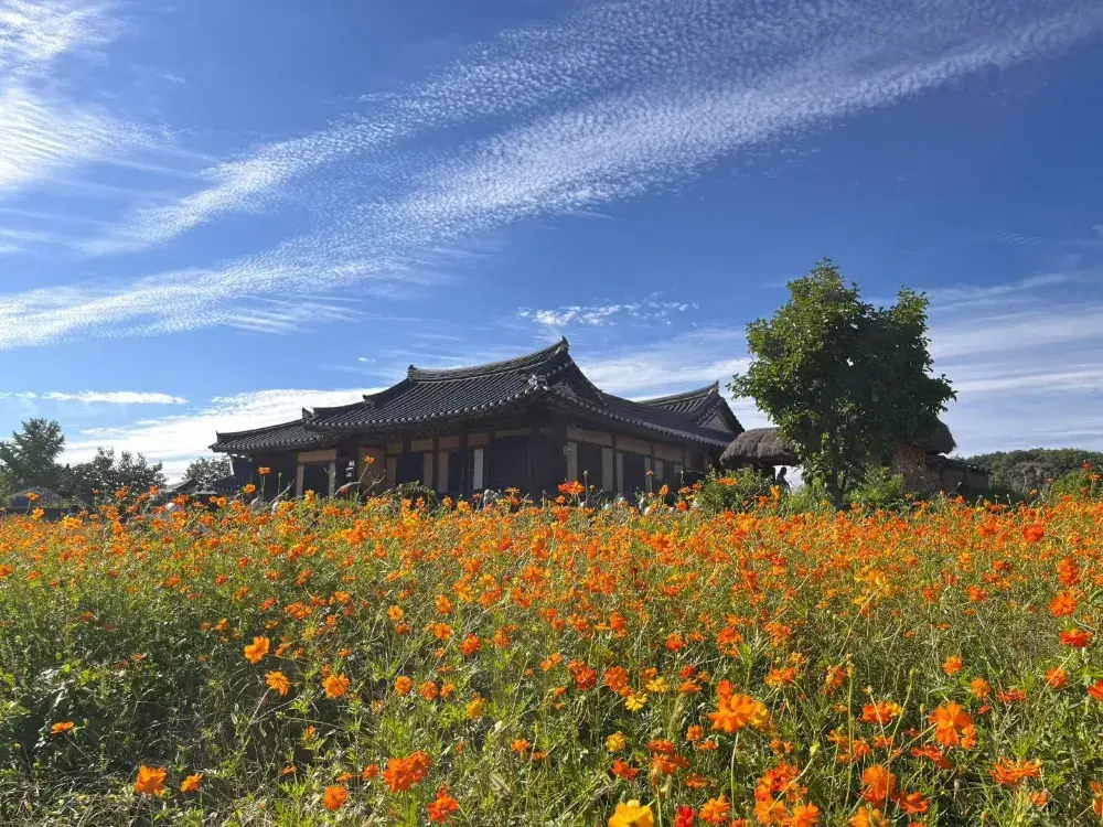 大邱の河回村、言葉を失うほど美しい世界遺産！