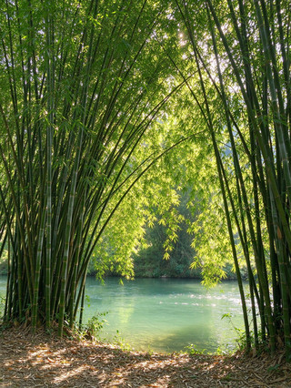 Yulong River on a sunny day is as gentle as a painting
