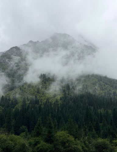 Misty Huangshan | Clouds enshroud the peaks, wandering into an ink