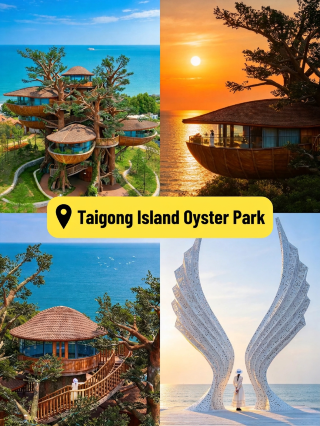 Rizhao, Shandong—this low-key coastal city is truly an underrated travel gem!