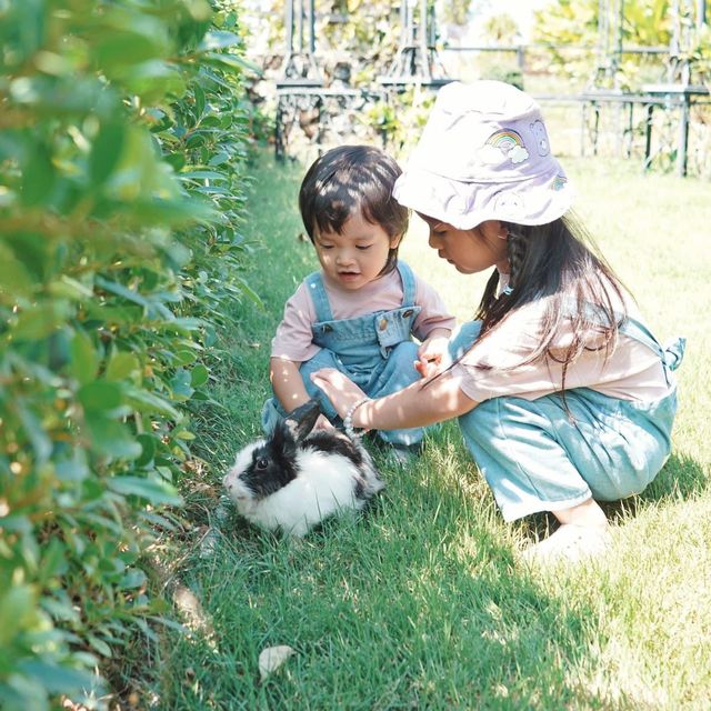 คาเฟ่สระบุรี กินเที่ยวเล่นครบจบ 🐑🐣🍝