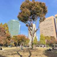 Huge park in Shinjuku 