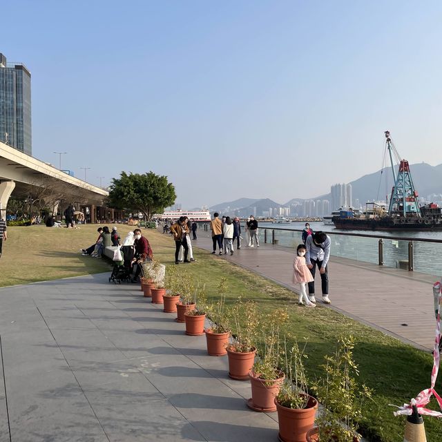 東九龍親子樂園，觀塘海濱音樂噴泉花園💐🌷🌹🌺