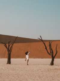 Deadvlei Nambia - Frozen in time