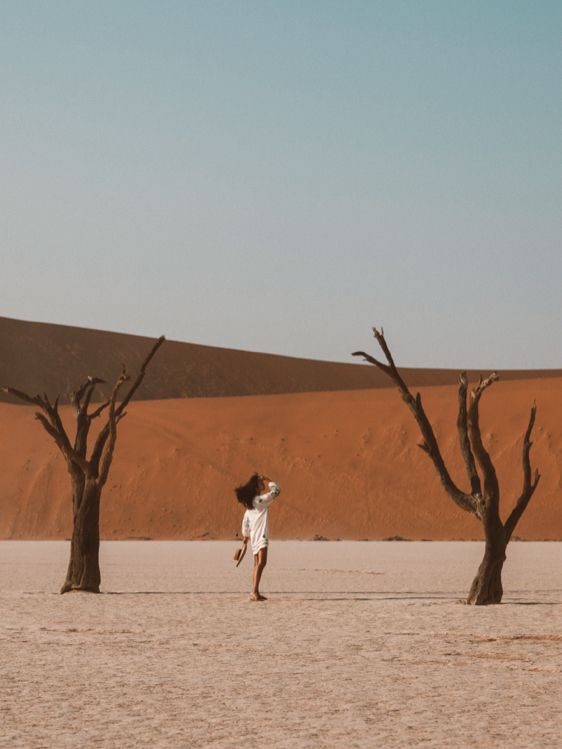 Deadvlei Nambia - Frozen in time