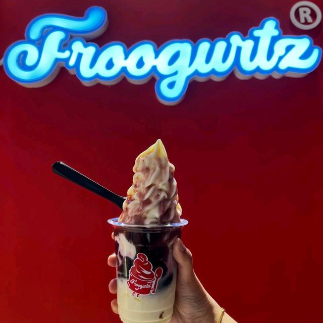 Froogurtz, no 1 local froyo outlet