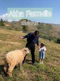 Akha Farmville ฟาร์มแกะ