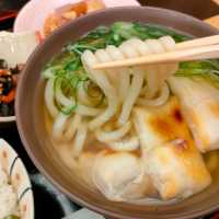 【大阪 道頓堀】昭和21年創業のうどん✨道頓堀 今井 本店