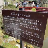 【宇都宮】大谷観音