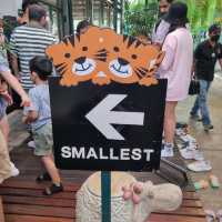 Best Tiger Park in Pattaya!