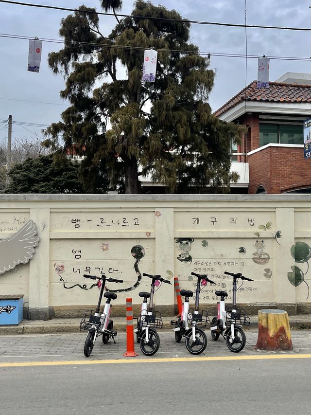 군산에서 시간여행 초원사진관✨