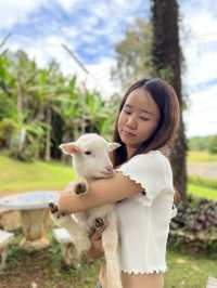 หนาวนี้ที่ "ปางตอง"
