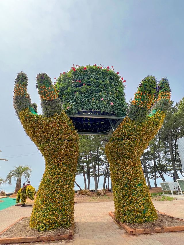 튤립과 유채를 한번에 볼 수 있는 봄꽃명소🌸🌷