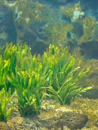 อควาเรียม บางแสน เดินเที่ยวโลกใต้น้ำ 🐠