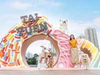 大埔2萬呎寵物共享花園登場