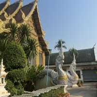วัดป่าแดด เชียงใหม่ ⛩️