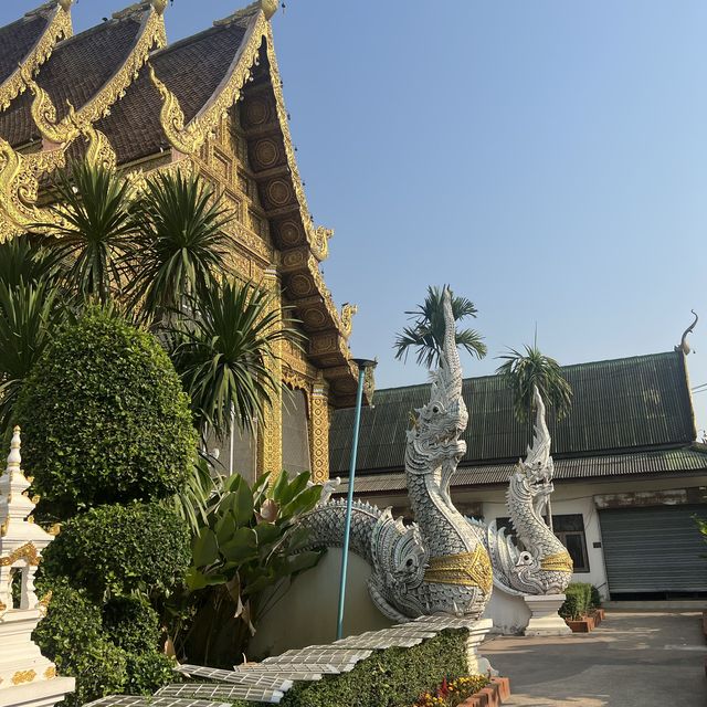 วัดป่าแดด เชียงใหม่ ⛩️ วัดป่าแดด เชียงใหม่ ⛩️