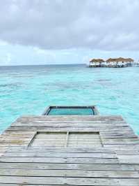 💕馬爾代夫蜜月旅行🏝️🥂享受陽光與海灘