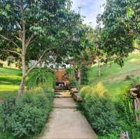 หลงสวน คาเฟ่ท์  ยกภูเขามาไว้ตรงนี้!!