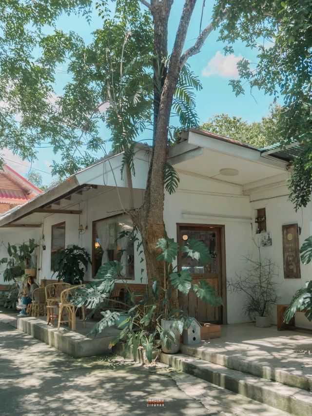 คาเฟ่ในสวนใกล้สนามบินสุโขทัย